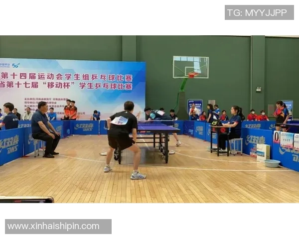 全运会特别报道：南京羽毛球队如何实现历史性突破与辉煌成就